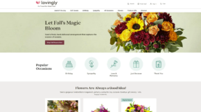 Web design Edmonton project for local small business