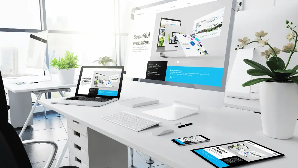 Example of professional web design services in Edmonton by Taurus Nueva