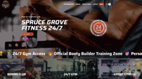 Web design Edmonton project for local small business