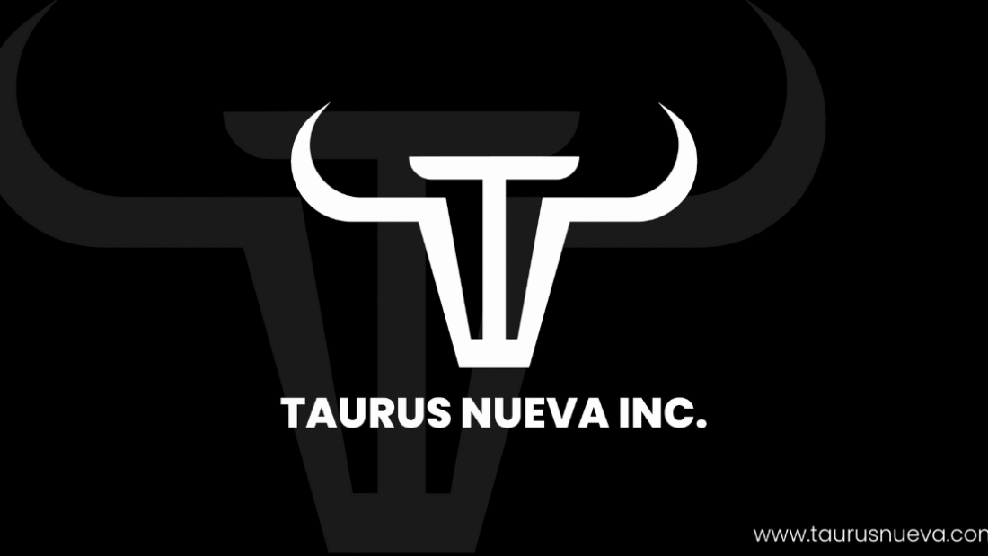 web-design-edmonton-taurus-nueva
