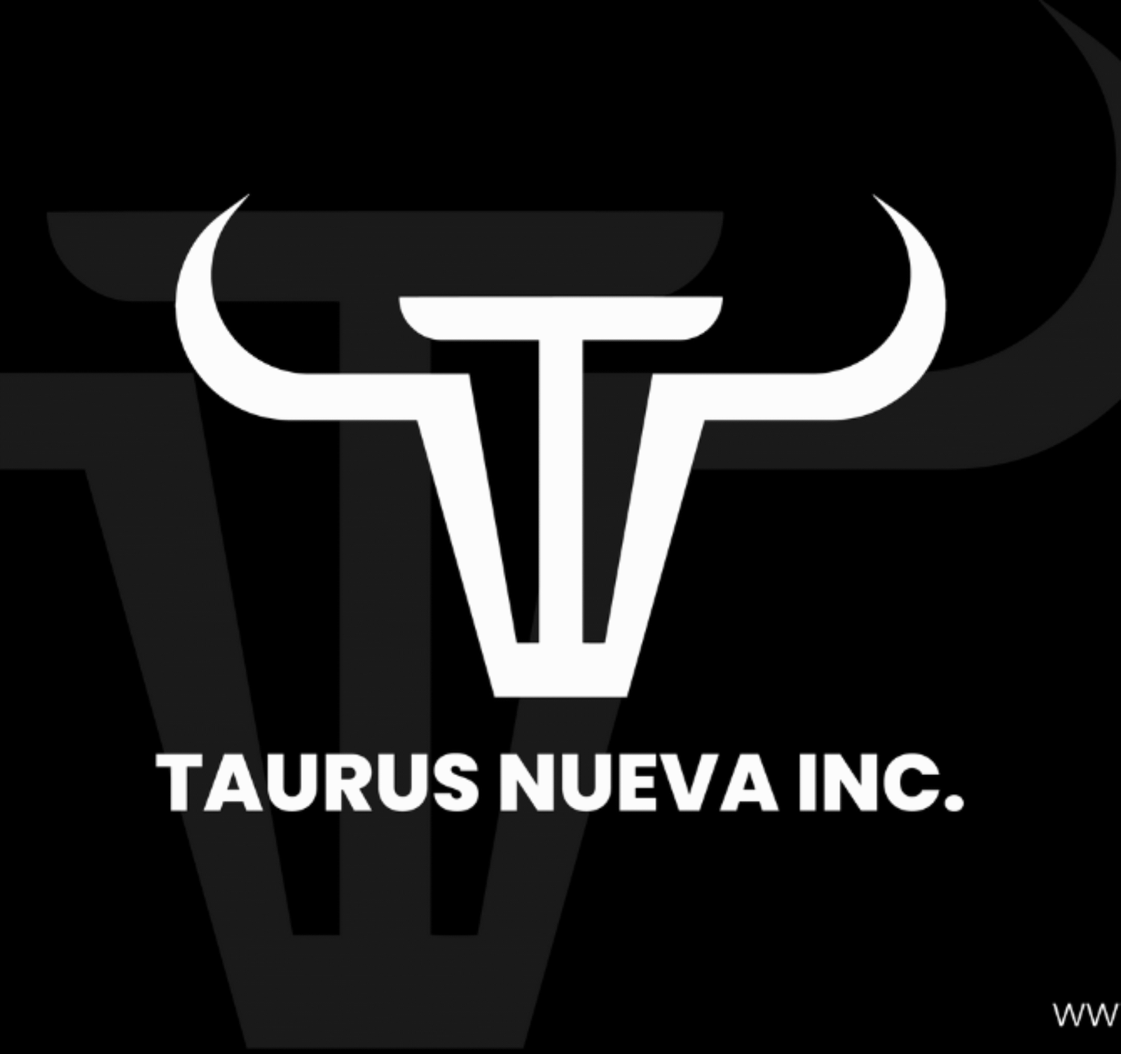 web-design-edmonton-taurus-nueva